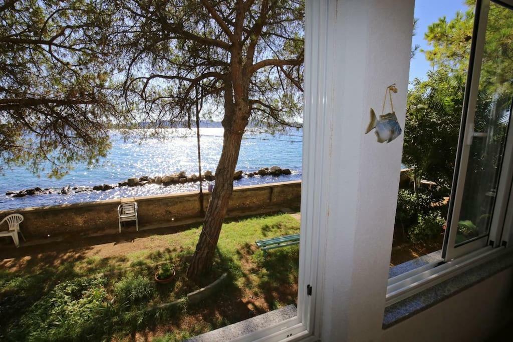 Seafront Beach Apartment - Directly At The Beach Zadar Ngoại thất bức ảnh